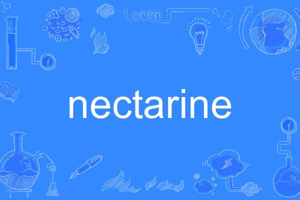 nectarine nectarine