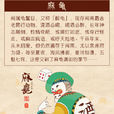 麻龜 麻龜