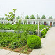 李集鎮(河南夏邑縣李集鎮) 李集鎮(河南夏邑縣李集鎮)