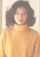 過把癮(1994年趙寶剛導演電視劇)
