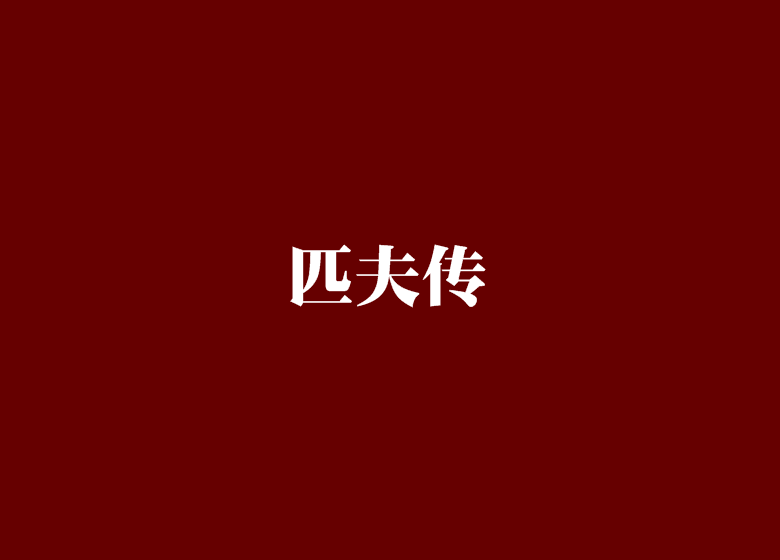 匹夫傳 匹夫傳