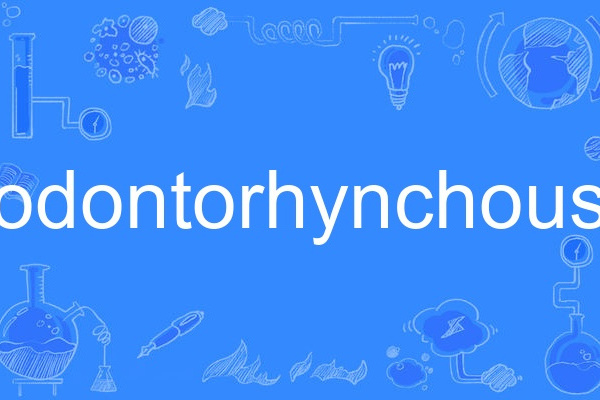 odontorhynchous odontorhynchous