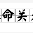 人命關天(漢語成語) 人命關天(漢語成語)