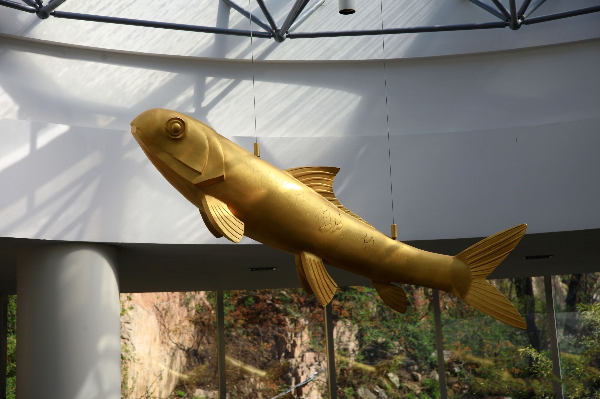 泰山赤鱗魚博物館