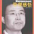 管理感悟(2007年廣播電視出版的圖書) 管理感悟(2007年廣播電視出版的圖書)