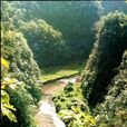 龍橋河 龍橋河
