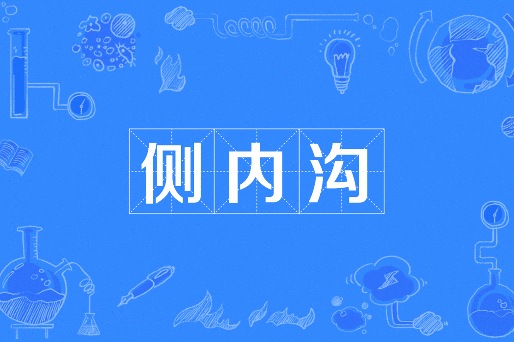 側內溝 側內溝