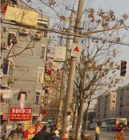 南園子 南園子