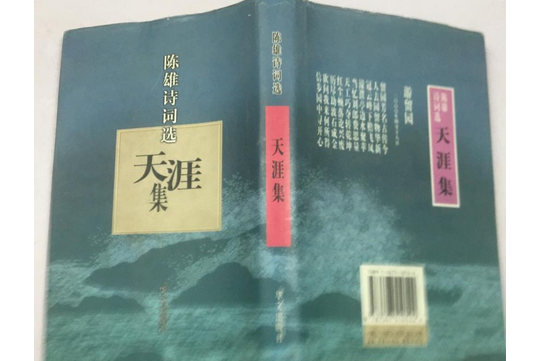 天涯集 天涯集