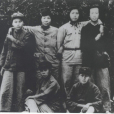 曾碧漪 曾碧漪