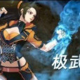 極武霸皇拳 極武霸皇拳