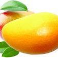 Mango(英語單詞)