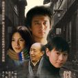 似水年華(黃磊自導自演電視劇)