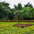 碧津公園 碧津公園