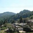 綠水塘村(雲南師宗縣雄壁鎮下轄村) 綠水塘村(雲南師宗縣雄壁鎮下轄村)
