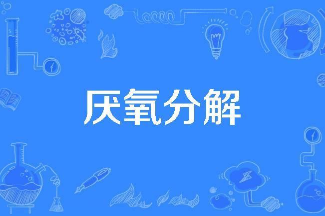 厭氧分解 厭氧分解
