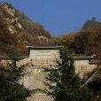 淨業寺(陝西省西安市長安區淨業寺)