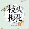 枝頭梅花 枝頭梅花