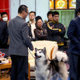 牽犬師 牽犬師