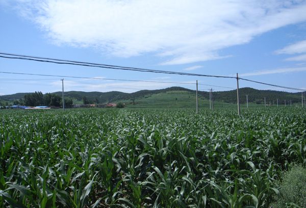 毛杖子村 毛杖子村