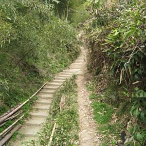 華蓋山山道
