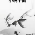 小說千面 小說千面