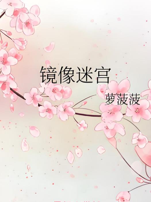 鏡像迷宮 鏡像迷宮