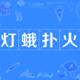 燈蛾撲火 燈蛾撲火