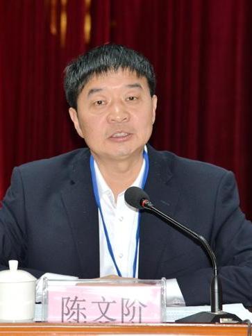 陳文階(福建省能源石化集團有限責任公司黨委委員、副總經理) 陳文階(福建省能源石化集團有限責任公司黨委委員、副總經理)