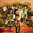 你是我的生命(2010年李文龍執導電視劇)