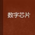 數字晶片 數字晶片