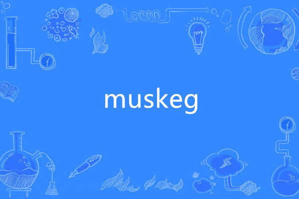 muskeg muskeg