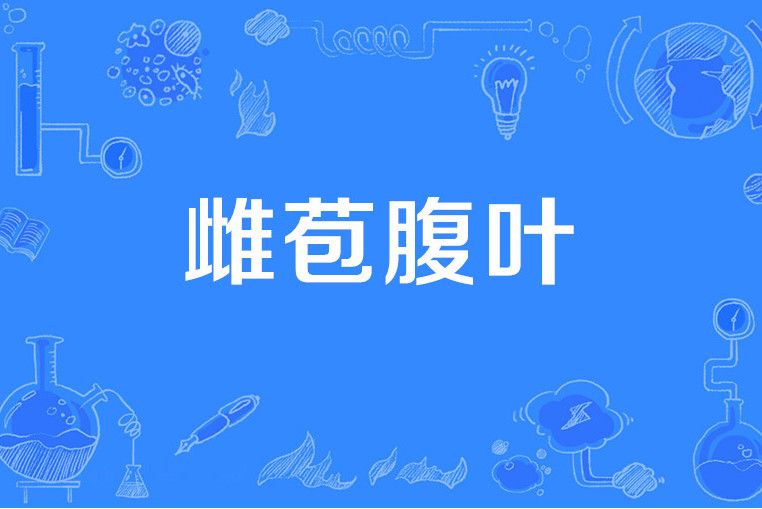 雌苞腹葉 雌苞腹葉