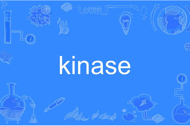 kinase kinase
