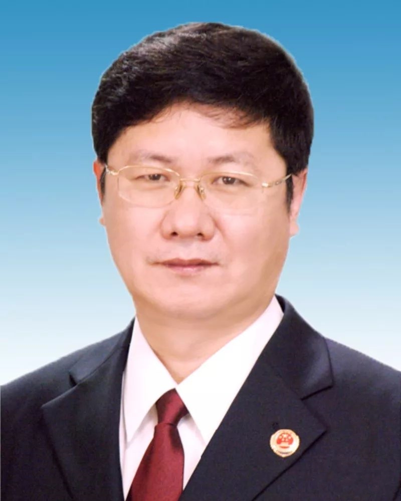 陳馬林(海南省政協副主席、民革海南省委會主委)