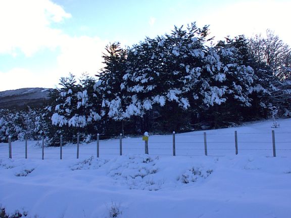 蓬塔阿雷納斯的滑雪場