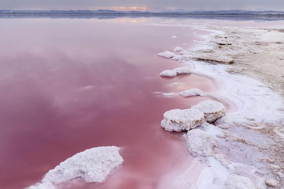粉紅湖泊