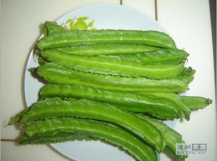 龍骨菜 龍骨菜