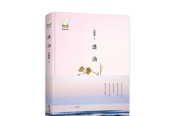 漂泊(2018年中國書籍出版社出版的圖書) 漂泊(2018年中國書籍出版社出版的圖書)
