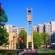 天普大學