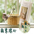 茲束瓊心 茲束瓊心