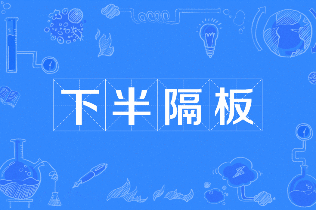 下半隔板 下半隔板