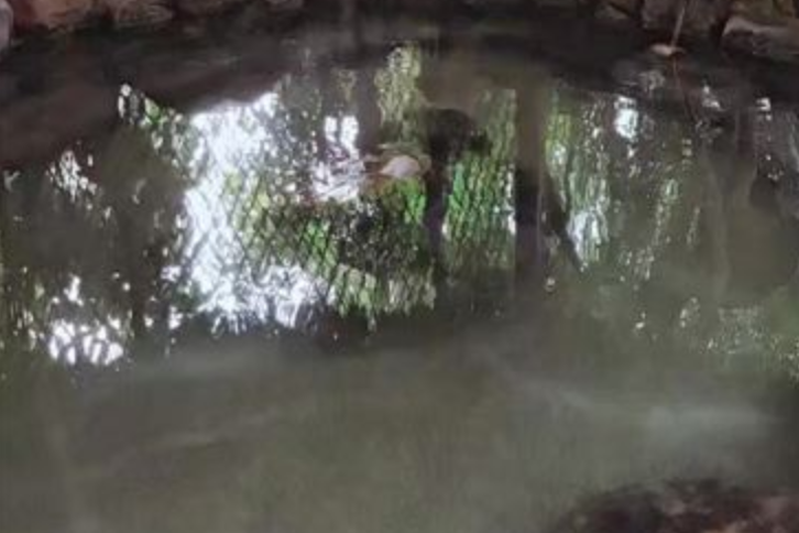 假日溫泉 假日溫泉
