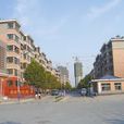 張家莊村(山東省萊蕪市大王莊鎮) 張家莊村(山東省萊蕪市大王莊鎮)