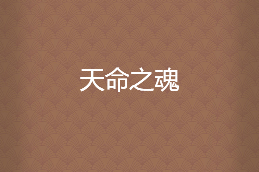天命之魂 天命之魂