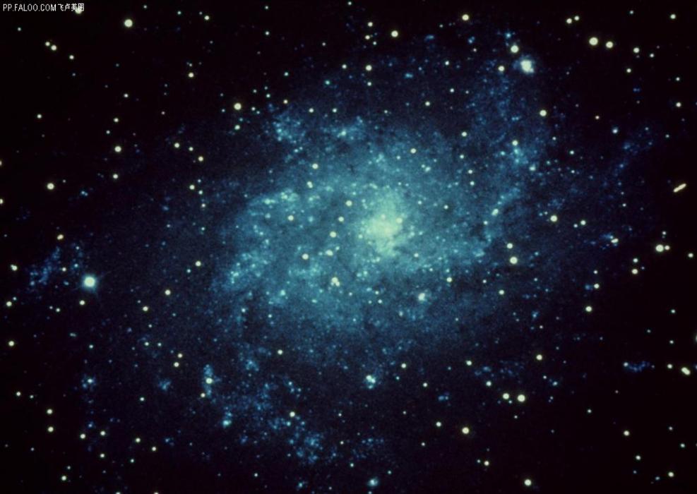河神星 河神星