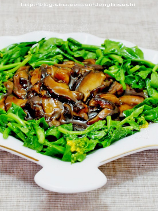 鮮香菇炒油菜 鮮香菇炒油菜