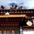 西藏文化的保護與發展