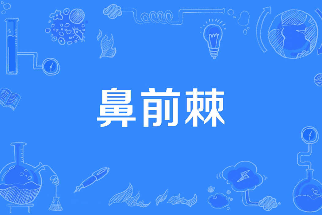 鼻前棘 鼻前棘