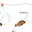 阿波釣法 阿波釣法